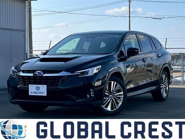 Subaru LEVORG LAYBACK 2024 — фото автомобиля