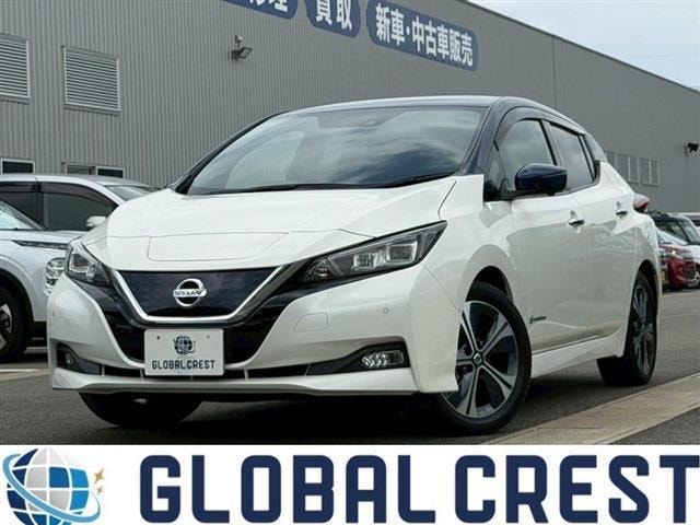 Nissan LEAF 2021 — фото автомобиля 1