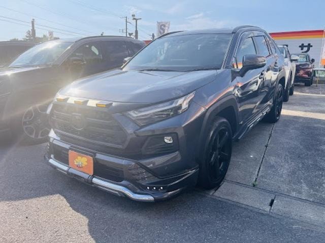 Toyota RAV4 2022 — фото автомобиля 1