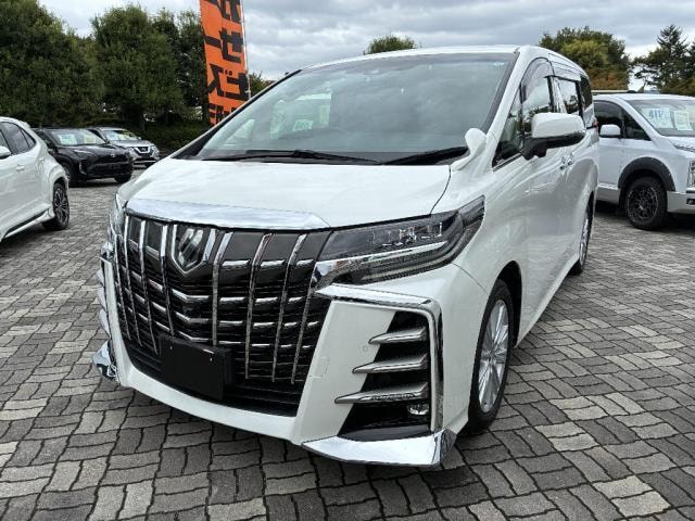 Toyota ALPHARD 2019 — фото автомобиля 1