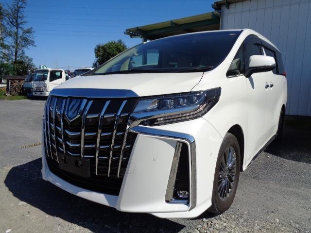 Toyota ALPHARD HYBRID 2021 — фото автомобиля