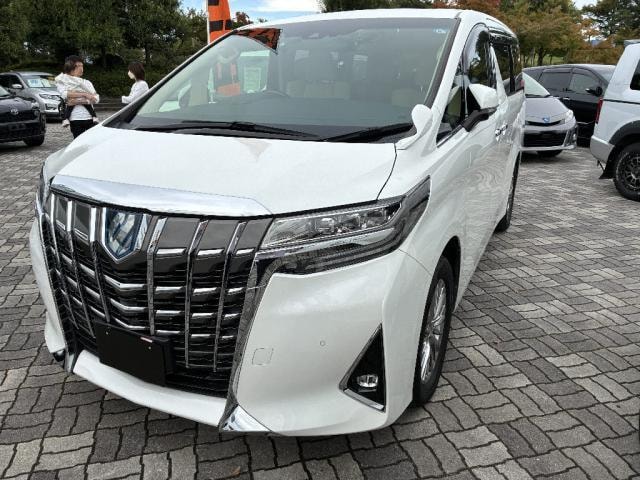 Toyota ALPHARD HYBRID 2023 — фото автомобиля