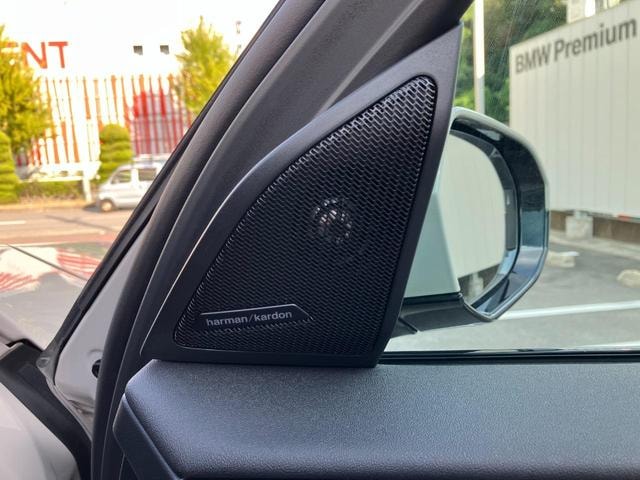 Миниатюра 39
