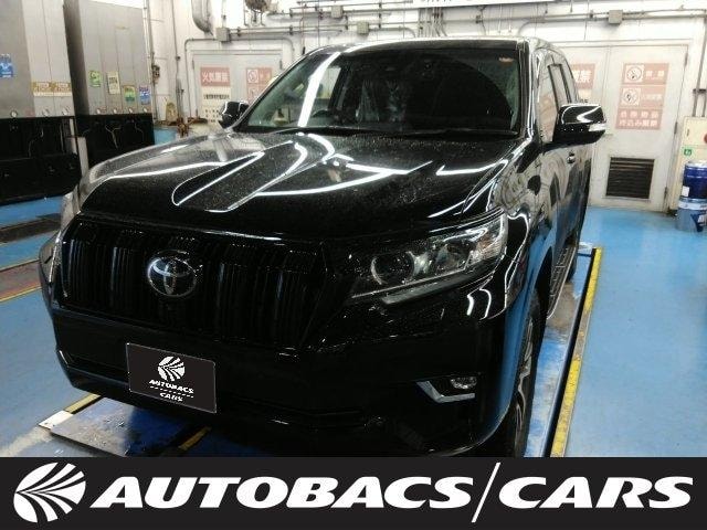 Toyota LAND CRUISER PRADO 2022 — фото автомобиля