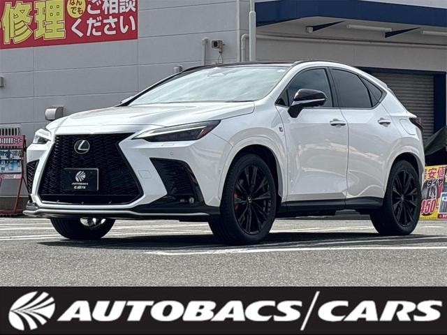 Lexus NX 2024 — фото автомобиля 1