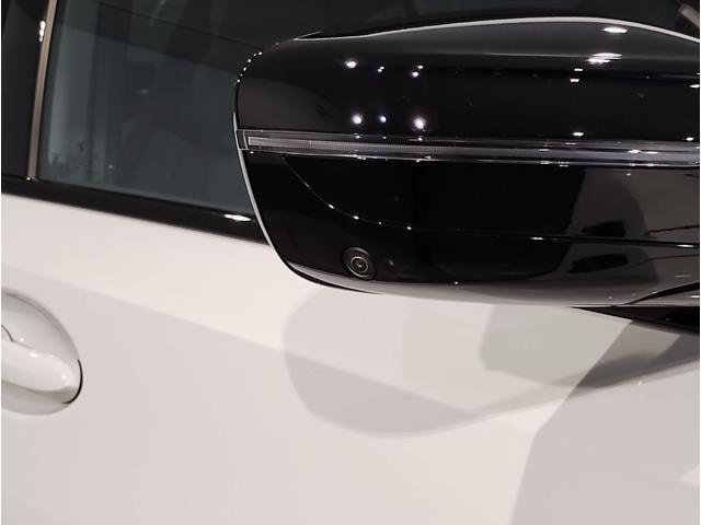 Миниатюра 15