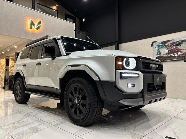 Миниатюра 41