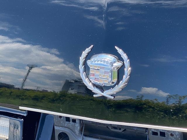 Миниатюра 37