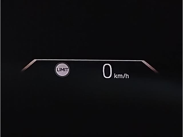Миниатюра 51