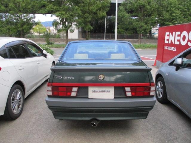 Миниатюра 8