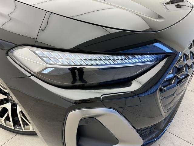 Миниатюра 38