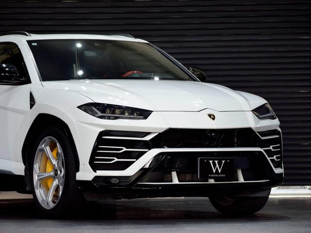 Миниатюра 17