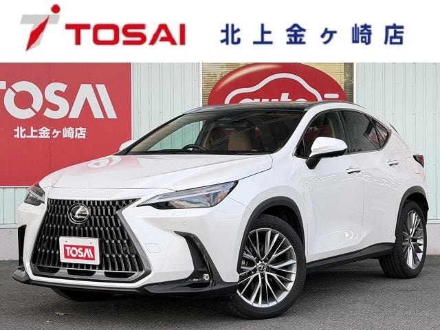 Lexus NX 2024 — фото автомобиля 1