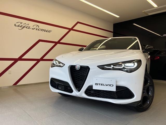 Alfa Romeo STELVIO 2024 — фото автомобиля