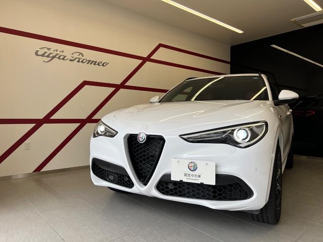 Alfa Romeo STELVIO 2021 — фото автомобиля 1