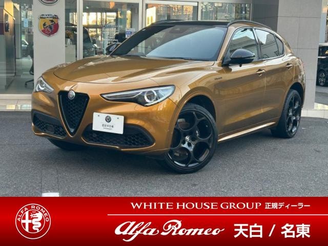 Alfa Romeo STELVIO 2022 — фото автомобиля 1