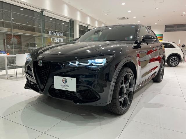 Alfa Romeo STELVIO 2025 — фото автомобиля