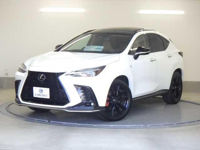 Lexus NX 2024 — фото автомобиля 1