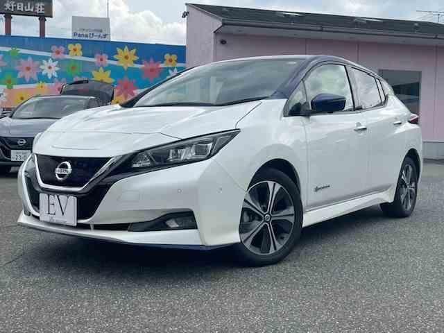 Nissan LEAF 2020 — фото автомобиля 1