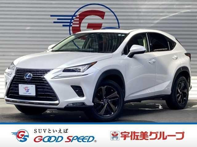 Lexus NX 2019 — фото автомобиля 1