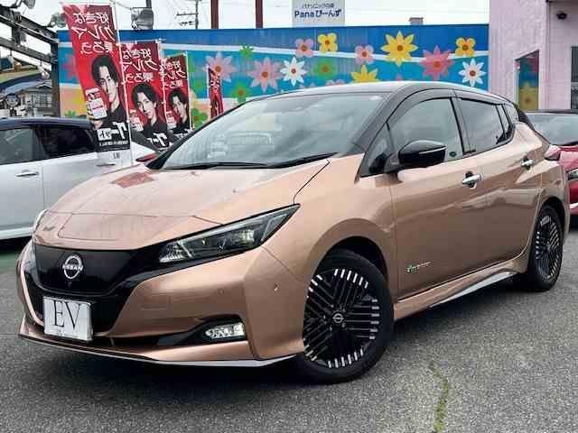 Nissan LEAF 2023 — фото автомобиля 1