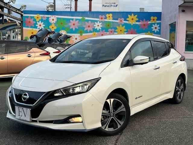 Nissan LEAF 2020 — фото автомобиля