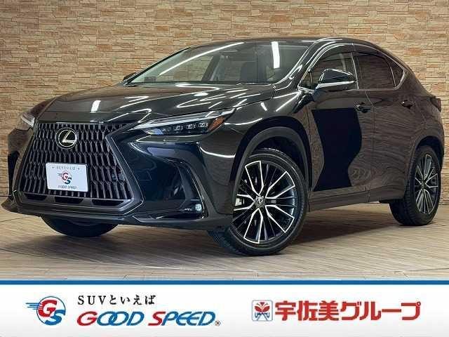 Lexus NX 2023 — фото автомобиля