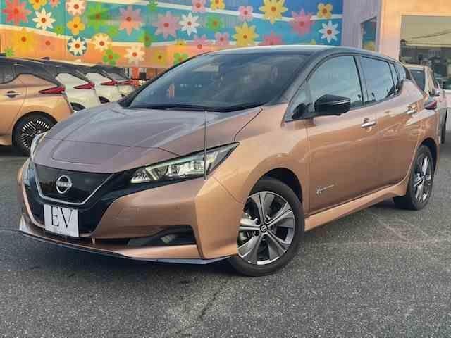 Nissan LEAF 2021 — фото автомобиля 1