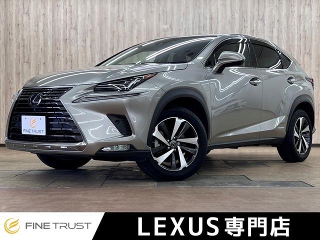 Lexus NX 2019 — фото автомобиля 1
