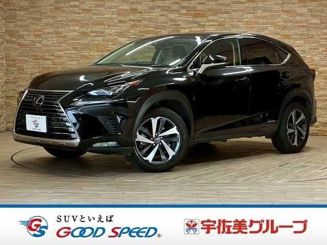 Lexus NX 2019 — фото автомобиля 1
