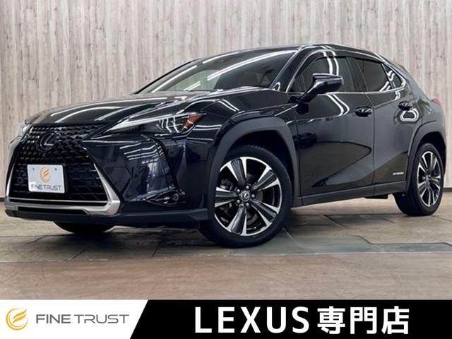 Lexus UX 2019 — фото автомобиля