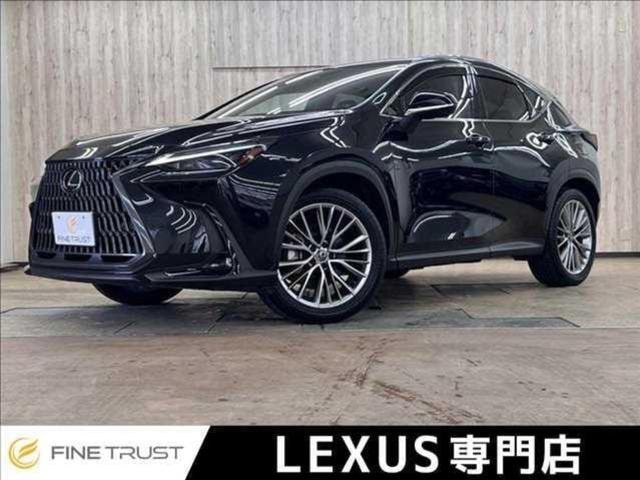 Lexus NX 2024 — фото автомобиля 1