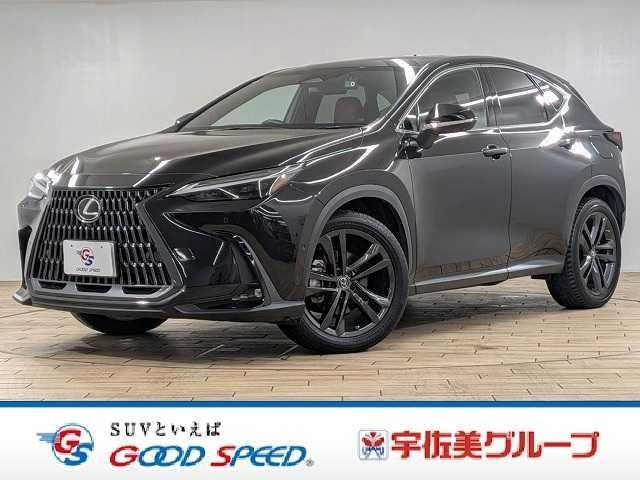 Lexus NX 2022 — фото автомобиля 1