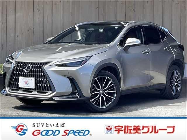 Lexus NX 2023 — фото автомобиля 1