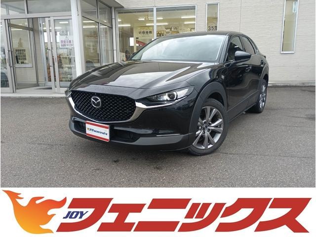 Mazda CX-30 2019 — фото автомобиля 1