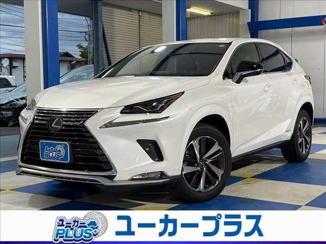 Lexus NX 2020 — фото автомобиля 1