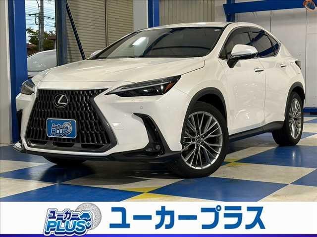 Lexus NX 2023 — фото автомобиля