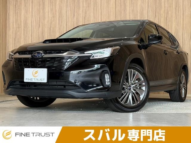 Subaru LEVORG LAYBACK 2023 — фото автомобиля