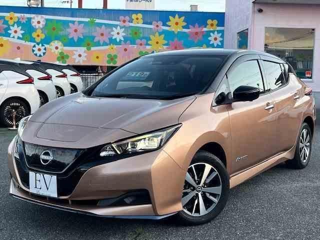 Nissan LEAF 2021 — фото автомобиля 1