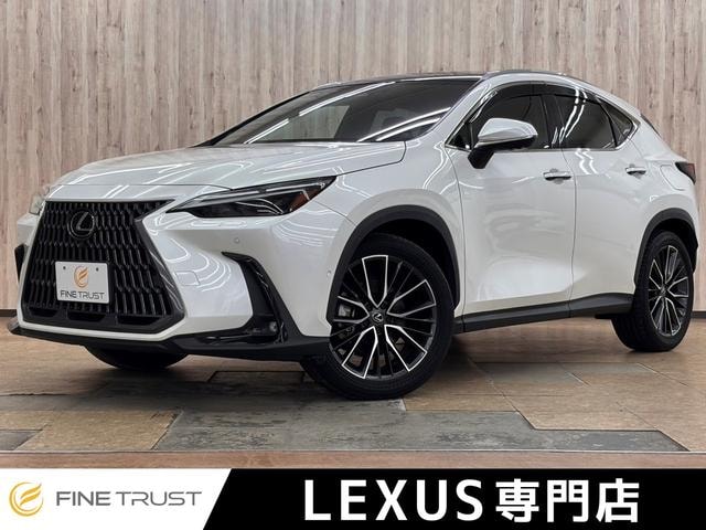 Lexus NX 2023 — фото автомобиля 1