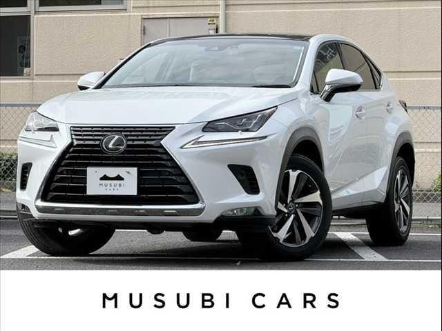 Lexus NX 2019 — фото автомобиля 1