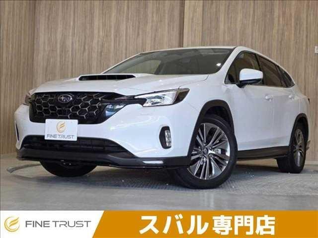 Subaru LEVORG LAYBACK 2023 — фото автомобиля