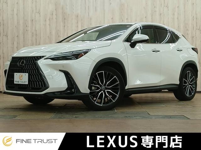 Lexus NX 2023 — фото автомобиля 1