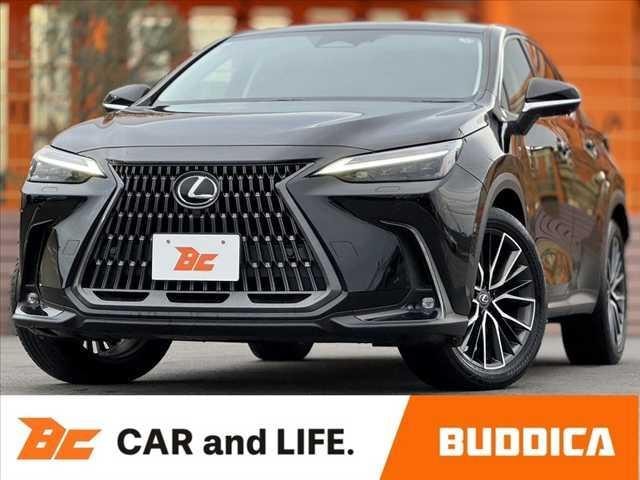 Lexus NX 2023 — фото автомобиля 1
