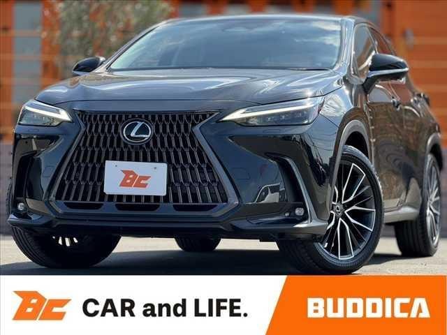 Lexus NX 2024 — фото автомобиля