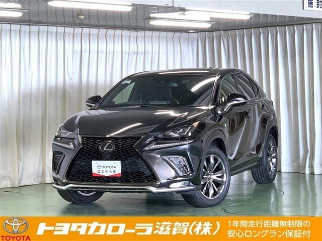 Lexus NX 2020 — фото автомобиля 1