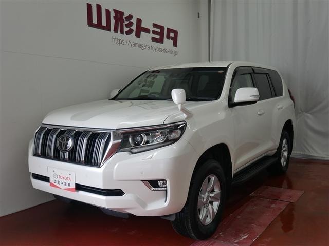 Toyota LAND CRUISER PRADO 2021 — фото автомобиля