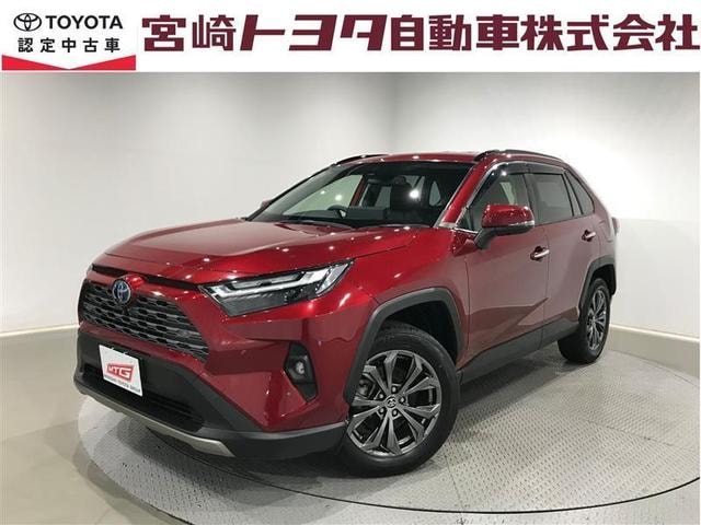Toyota RAV4 2023 — фото автомобиля 1