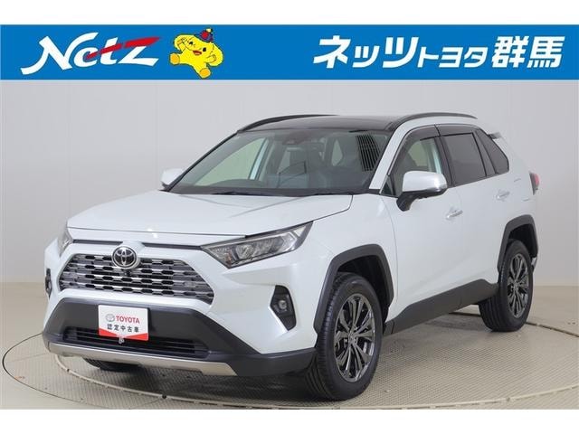 Toyota RAV4 2022 — фото автомобиля 1
