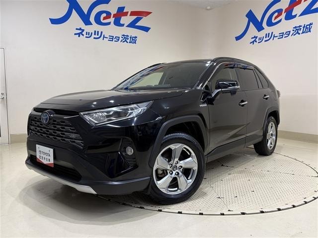 Toyota RAV4 2019 — фото автомобиля 1